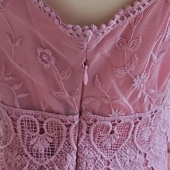 Sundance Juliet Rose Pink Lace Boho Romantic Sleeveless Embroidered Dress Size 6 - Picture 9 of 11